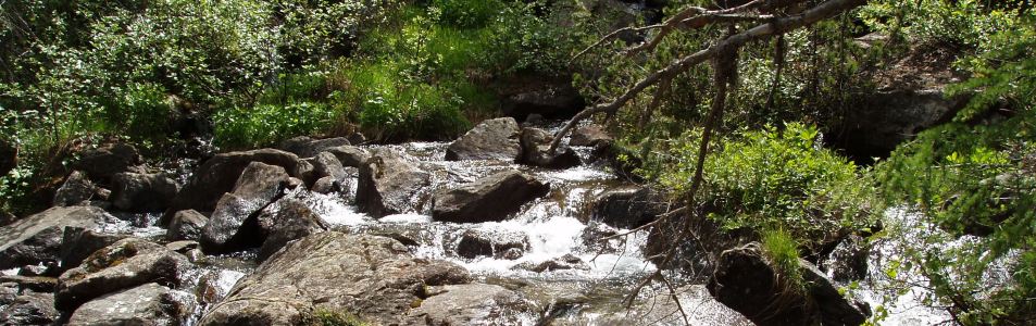 Scorcio di torrente